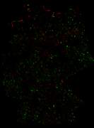 202607-diff-tf-4g