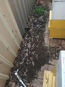 photo_2020-08-26_17-11-51