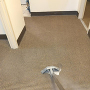 best carpet cleaning near me