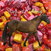 D7DC5FE5-A91A-4F8B-BE43-5356A20F0DCE