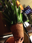 97366EF2-B101-40A5-87C7-CE7697A3B374