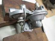 IMG-4365.jpg
