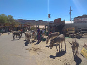 IMG-20180918-122415