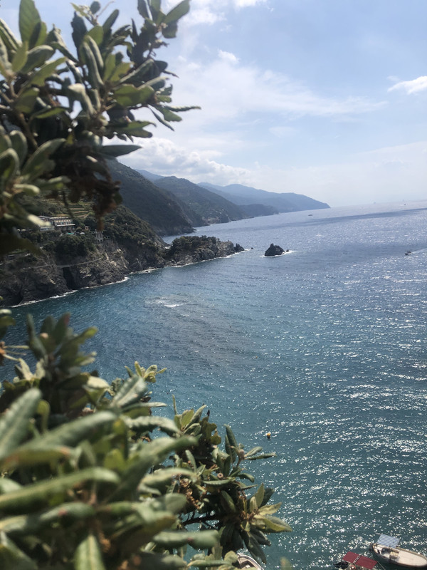 36EDD6E6-DBB6-4944-B0EC-861C4FF95EC6