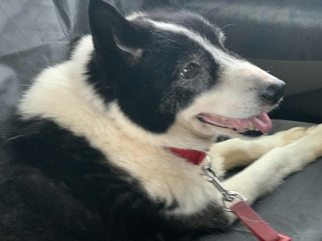 Old REl lays in the car