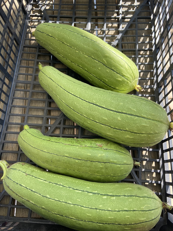 E0A35C97-F9FD-4658-95EA-94CD3AE3DDE7