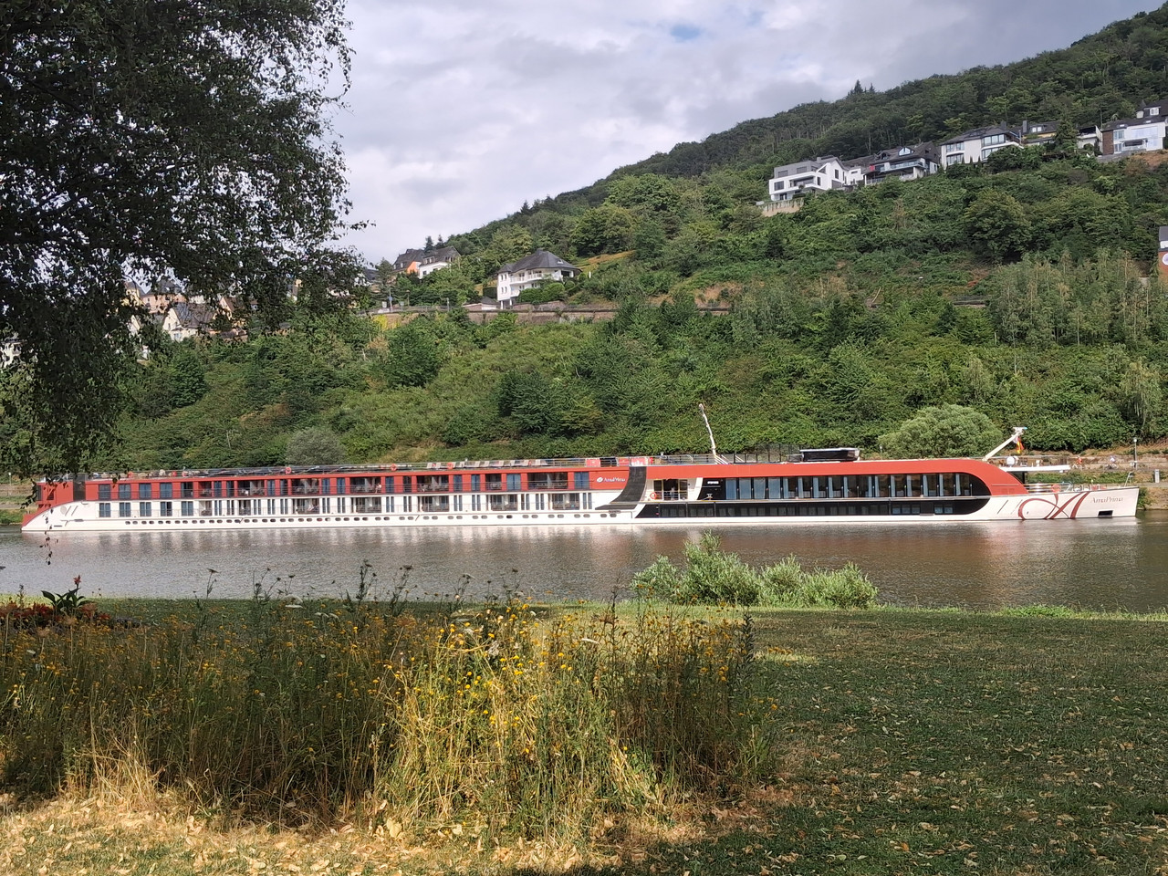Bild