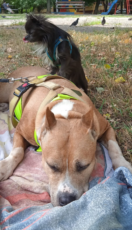 A782CD3E-589D-43EE-9495-B090707327B1