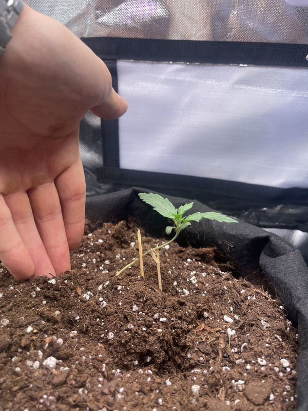 389EFAB2-3FE2-44CD-A27F-DD0C053DAE56