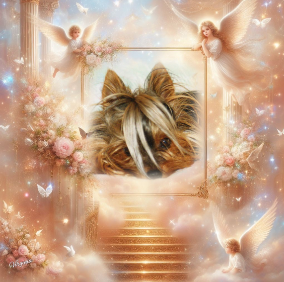 ZZZZZ Voyou 23 Avril Amis 16