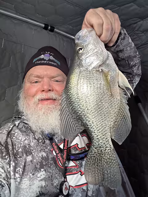 16.25 in. Black Crappie