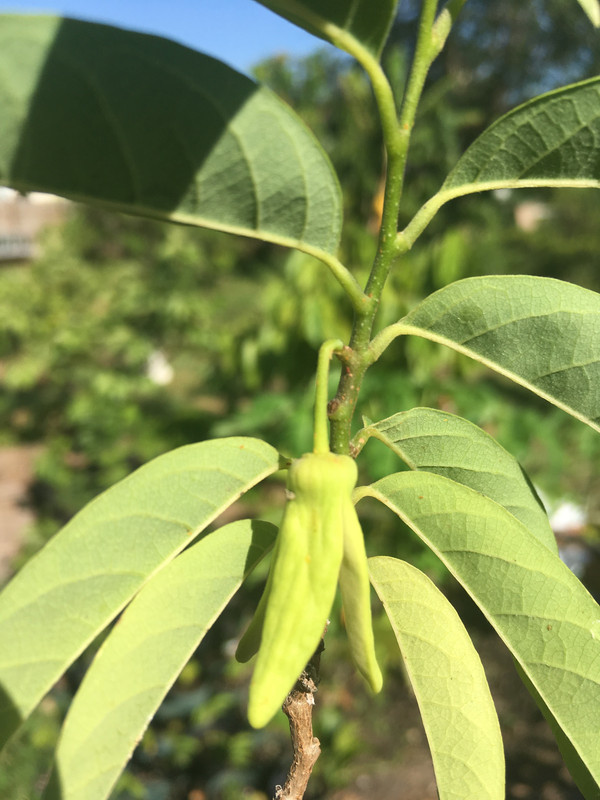 C4D46063-0464-4B62-881A-39374E08B13C