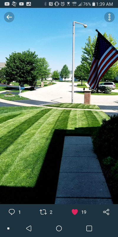 perfect-lawn