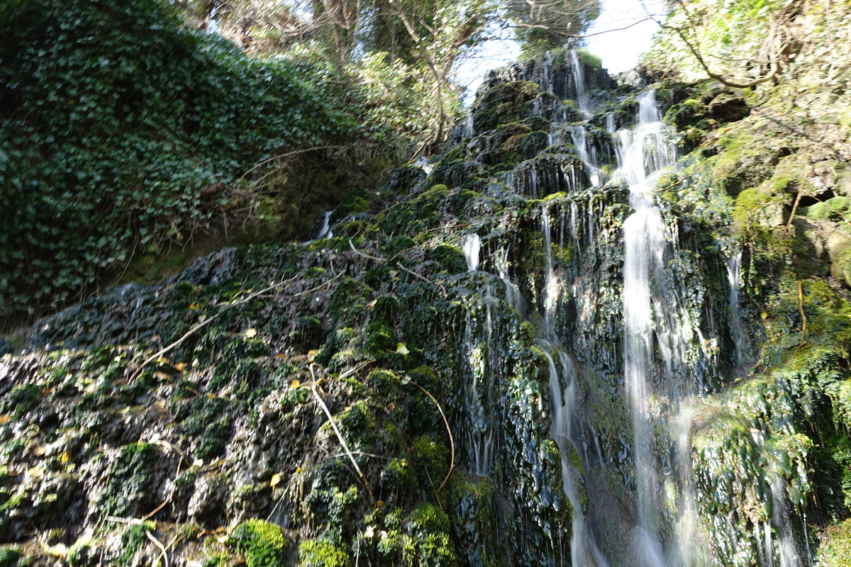 dsc04648_17132750345_o