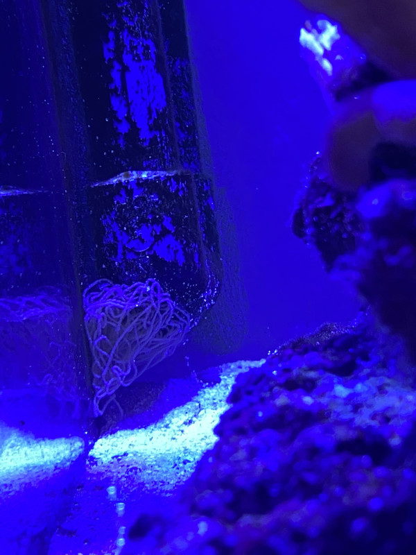 C3F0D889-2EF7-41C0-BD6A-00C914BDBFB4