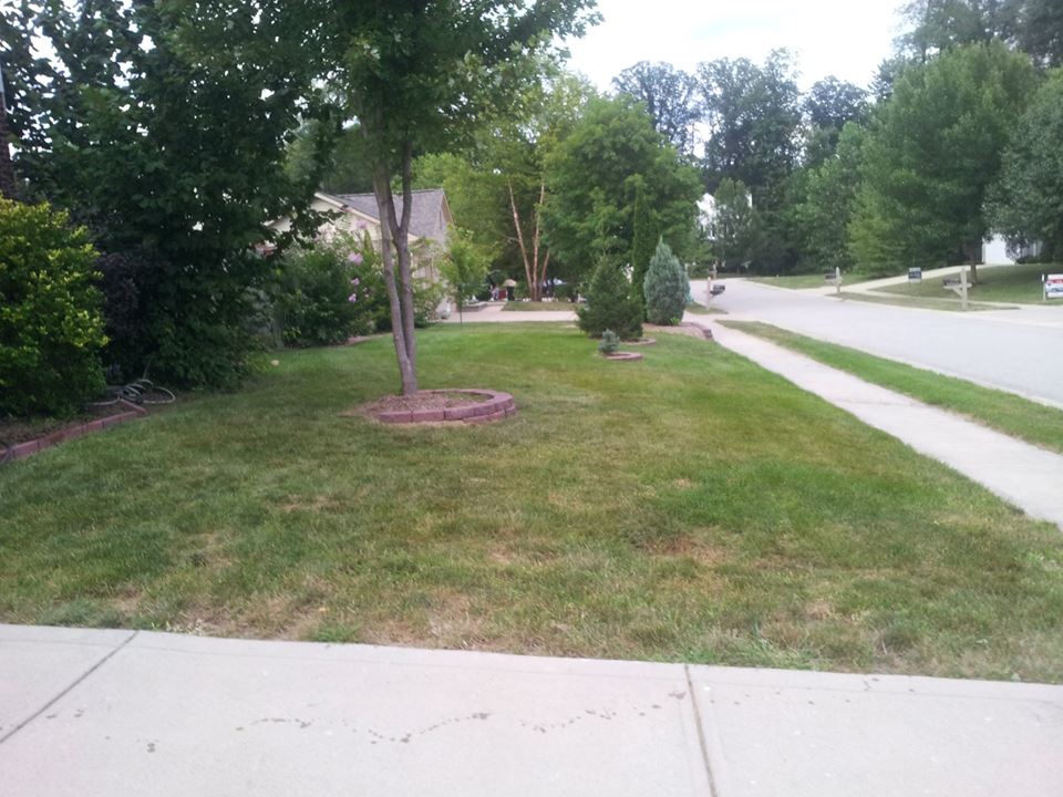 1002306_10151584865120745_372238346_n