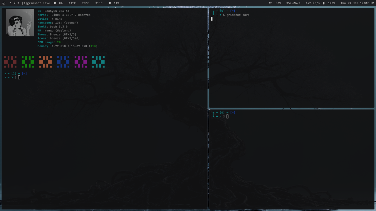 2026 01 29T12 08 08 775263052 05 00