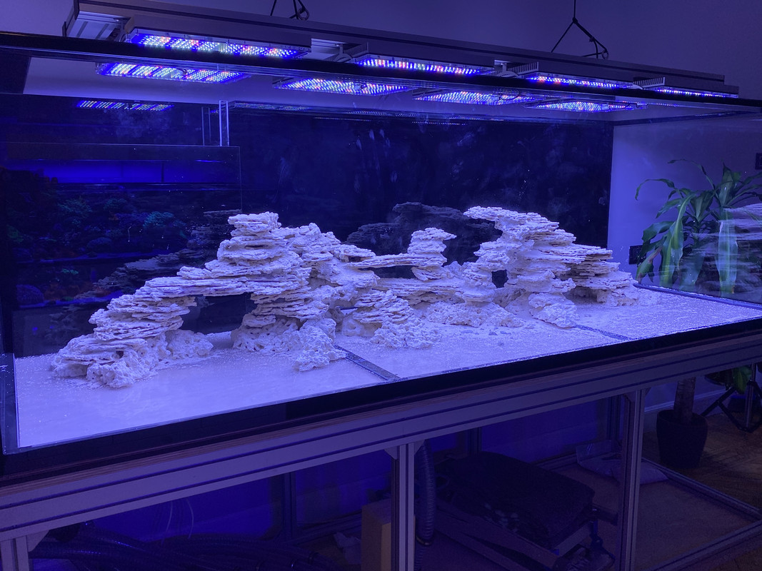 2AB251BF-ECD5-455B-8719-B7EECC564E80