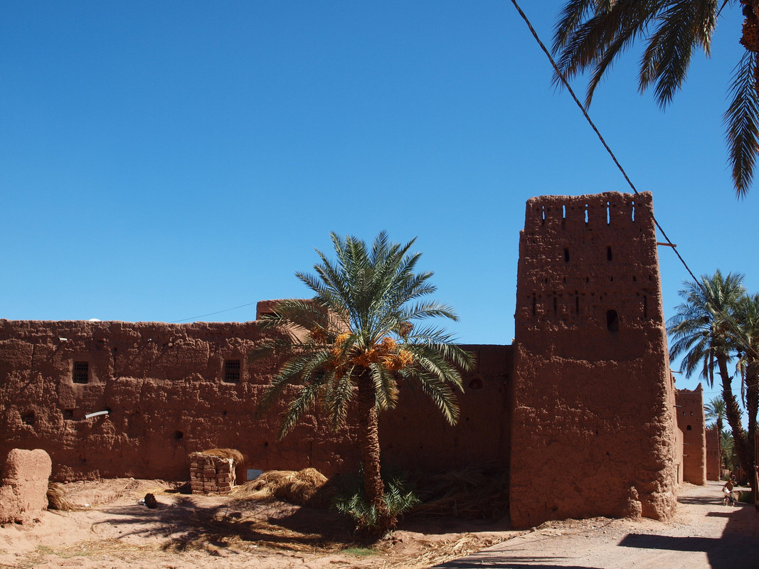 El palmeral de Ternata : Zagora y Tissergate - El Valle del Drâa, la gran arteria del sur de Marruecos (5)