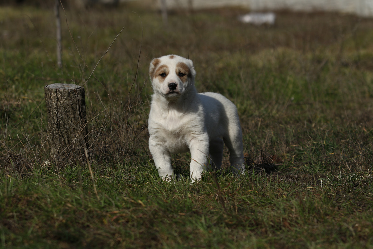 ACAFD0FA-3162-4FCC-B36A-74E1F067DA35