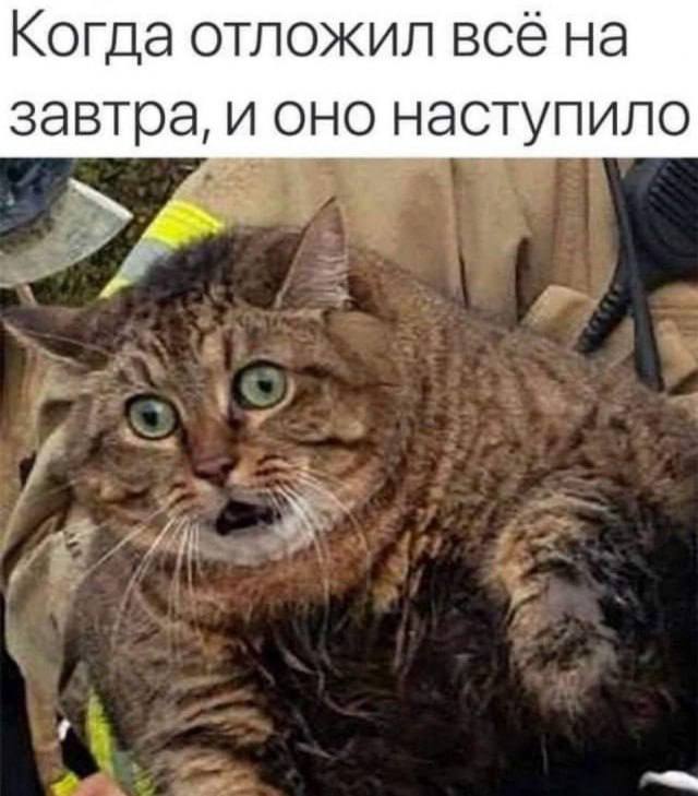https://i.postimg.cc/132c6pg3/photo-2026-05-29-07-10-56.jpg