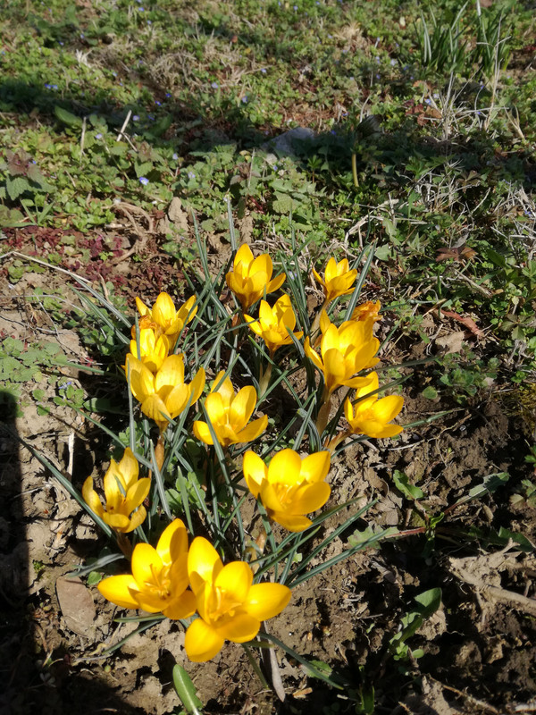 IMG_20200307_120045