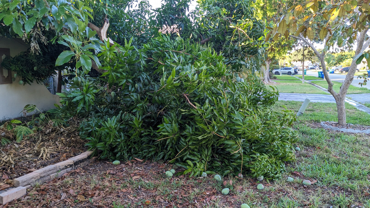 PXL_20240605_111921079