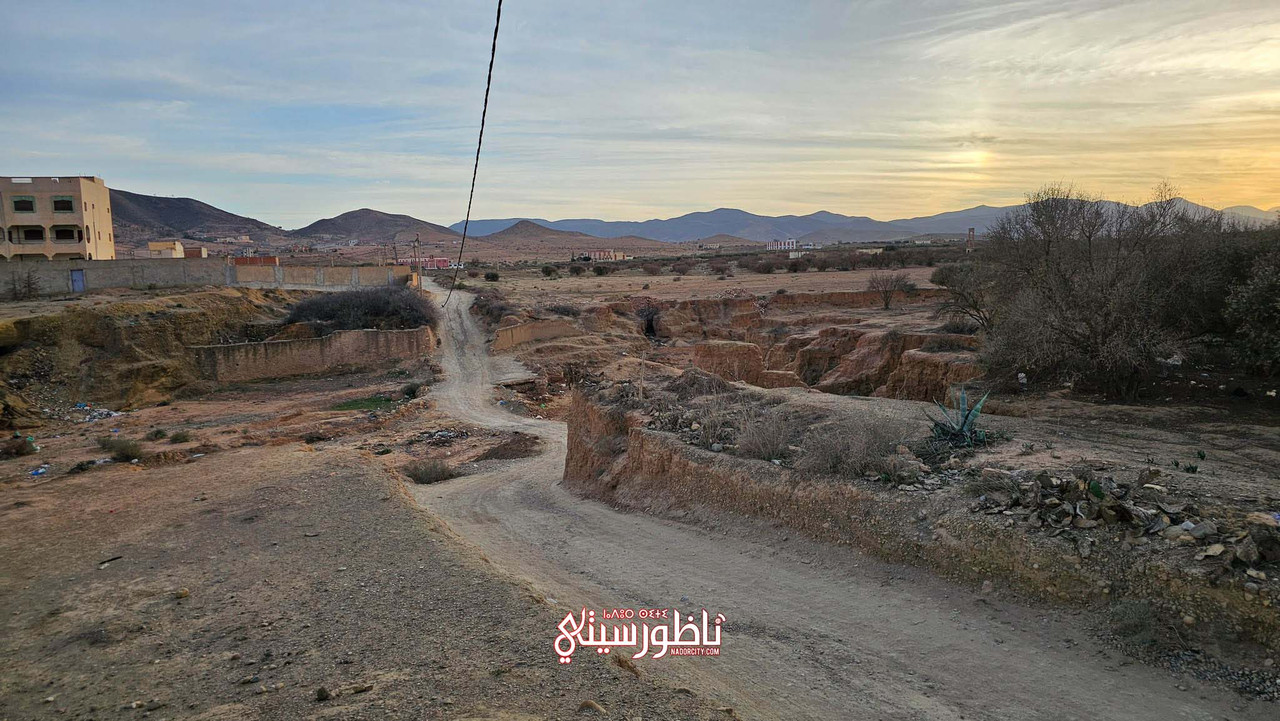 476965891_1639152903381867_4065393679832092652_n (1)