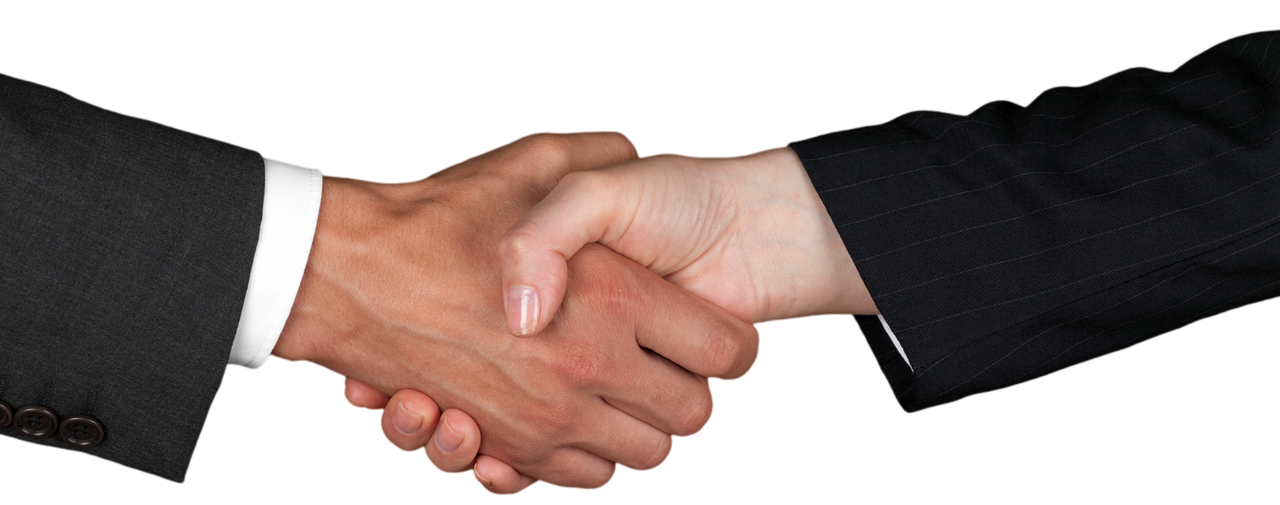 Business professionals shaking hands