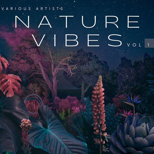 VA - Nature Vibes, Vol. 1-4 (2023) MP3