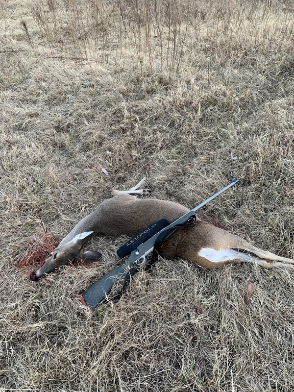 88D39A98-F397-4C8A-83D8-2F01F95C064E