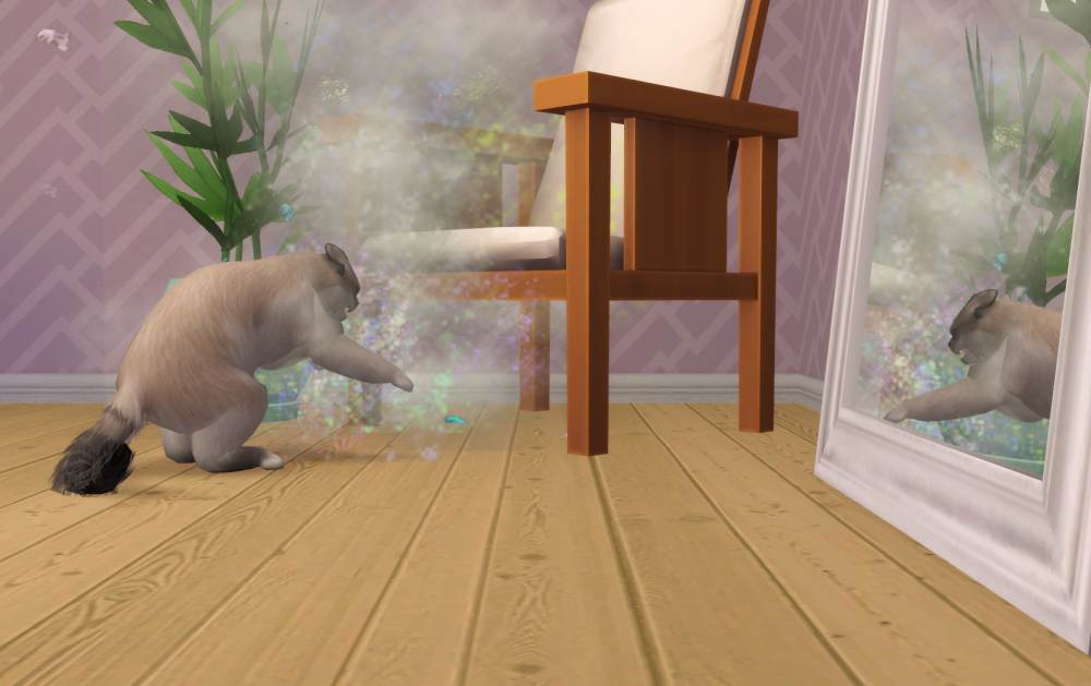 Sims2-EP9-RPC-2021-06-26-09-08-42-32