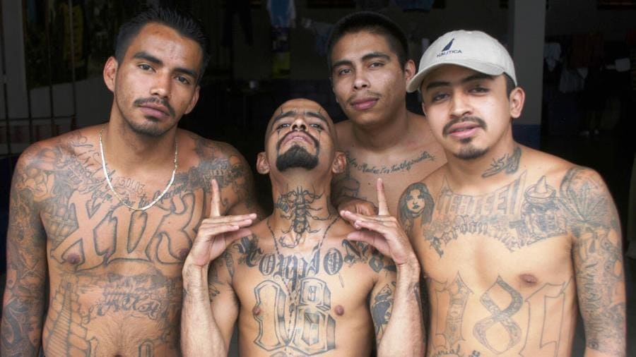 Mara Salvatrucha - война кланов, зверства и власть ультрас Mara Salvatrucha - война кланов, зверства и власть ультрас
