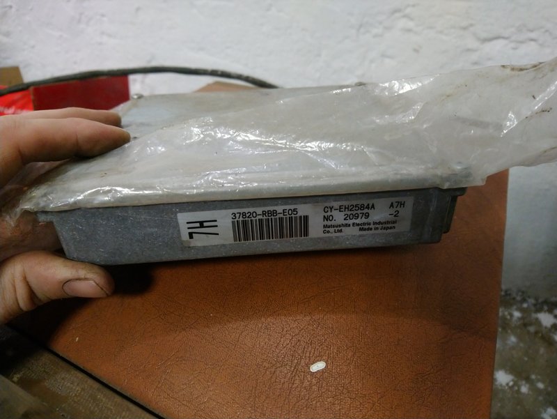 DSC-2655.jpg