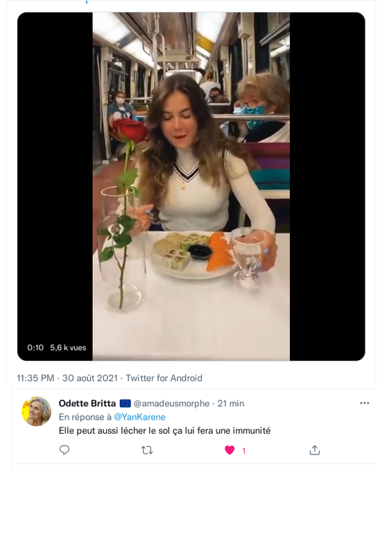 https://i.postimg.cc/133bX1hM/connasse-trome.png