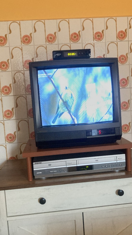 556070B0-9026-4221-9519-5BF1E98A9BA5