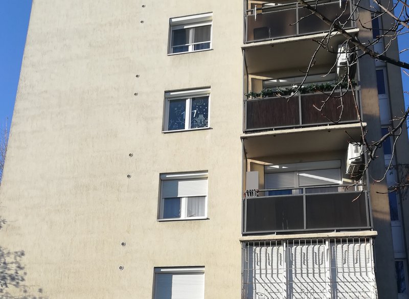 Kép