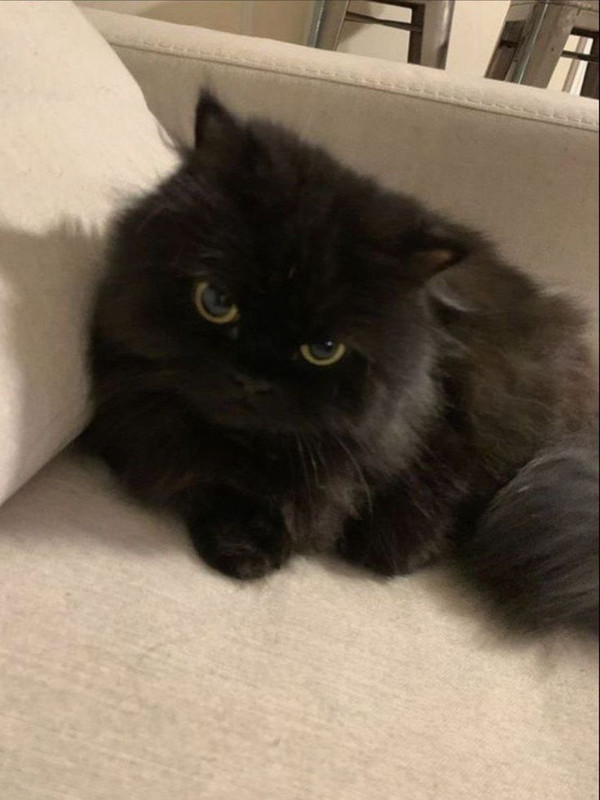 Kate