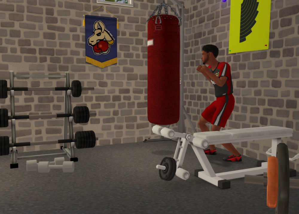 Sims2-EP9-RPC-2022-01-12-20-04-51-61