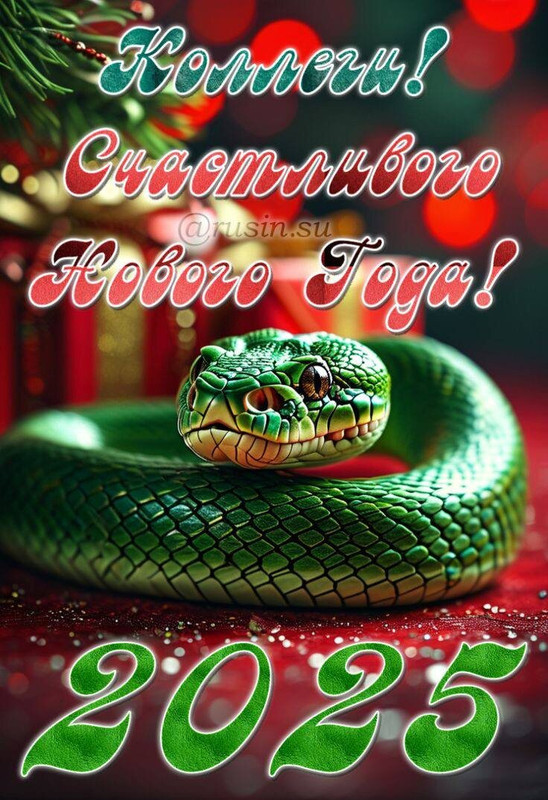 https://i.postimg.cc/133xCc5z/image.jpg
