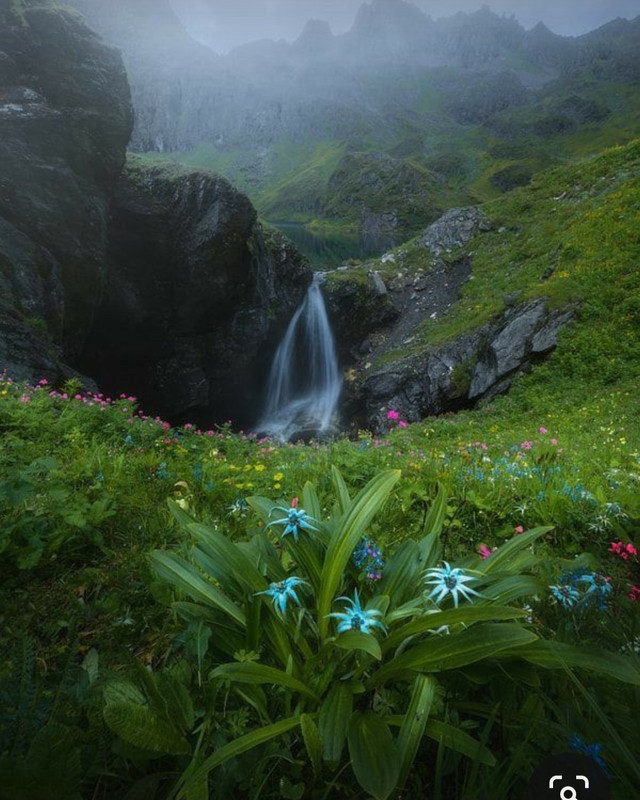 Screenshot_20231104_213951_Pinterest