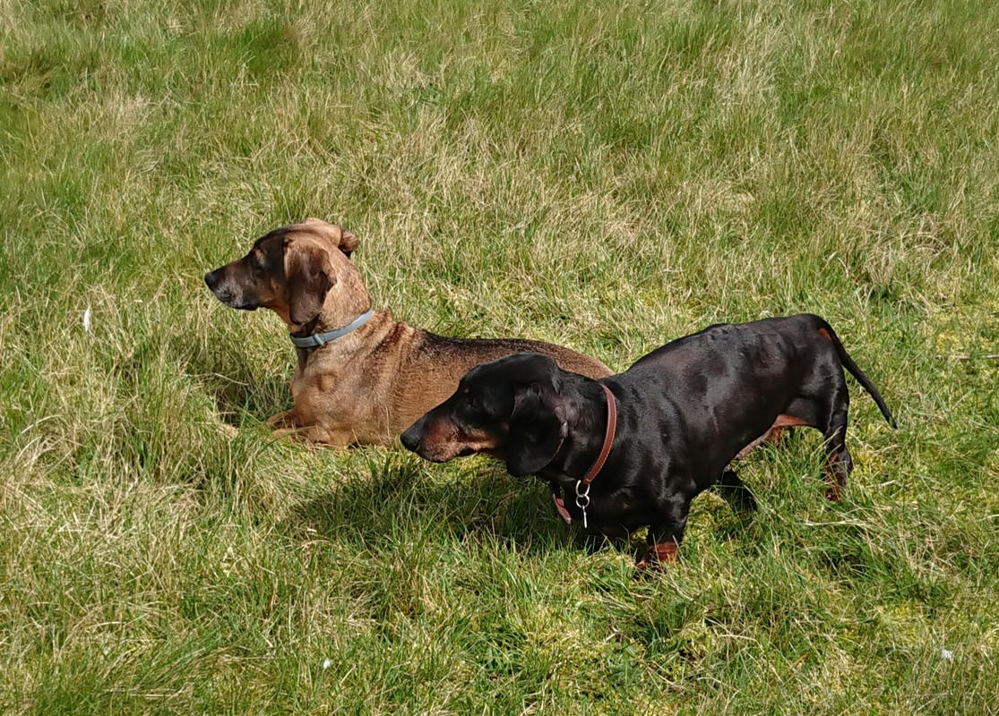 [Image: 20230320-193805.jpg]