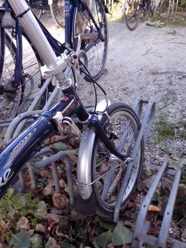 IMG_20131002_173859[1]