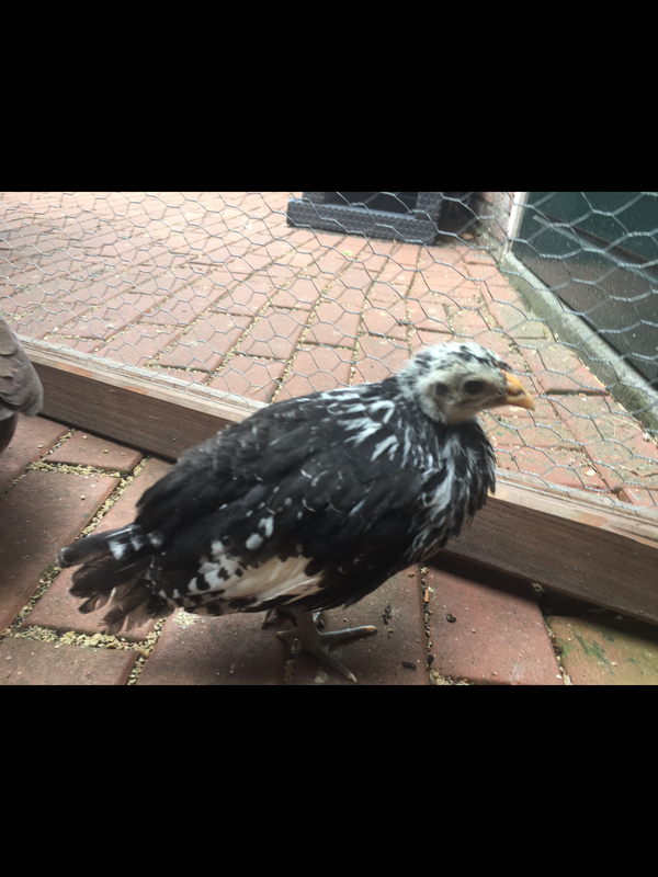 3FEEF8E7-C09F-40B5-94DD-5D9E47F42500