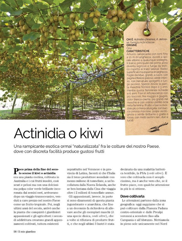 Il Mio Giar Nov-Dic 2021 (8)