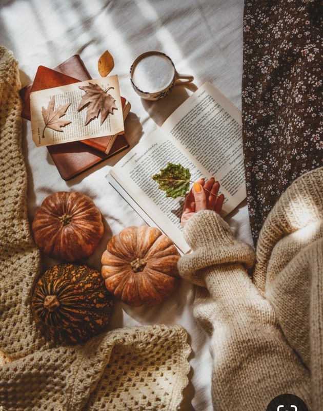 Screenshot_20230922_223426_Pinterest