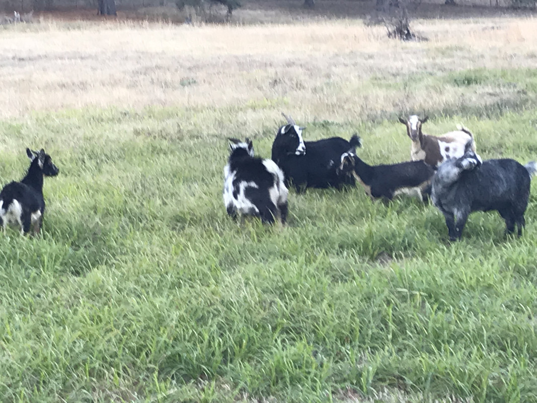 7DCF2ECF-754C-4F54-AC7F-3B5117E13B6A