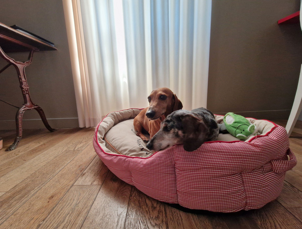 [Image: 20250628-161342-TSDF.jpg]