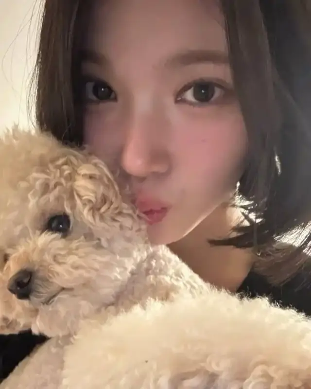 20250609_134741_copy_767x959