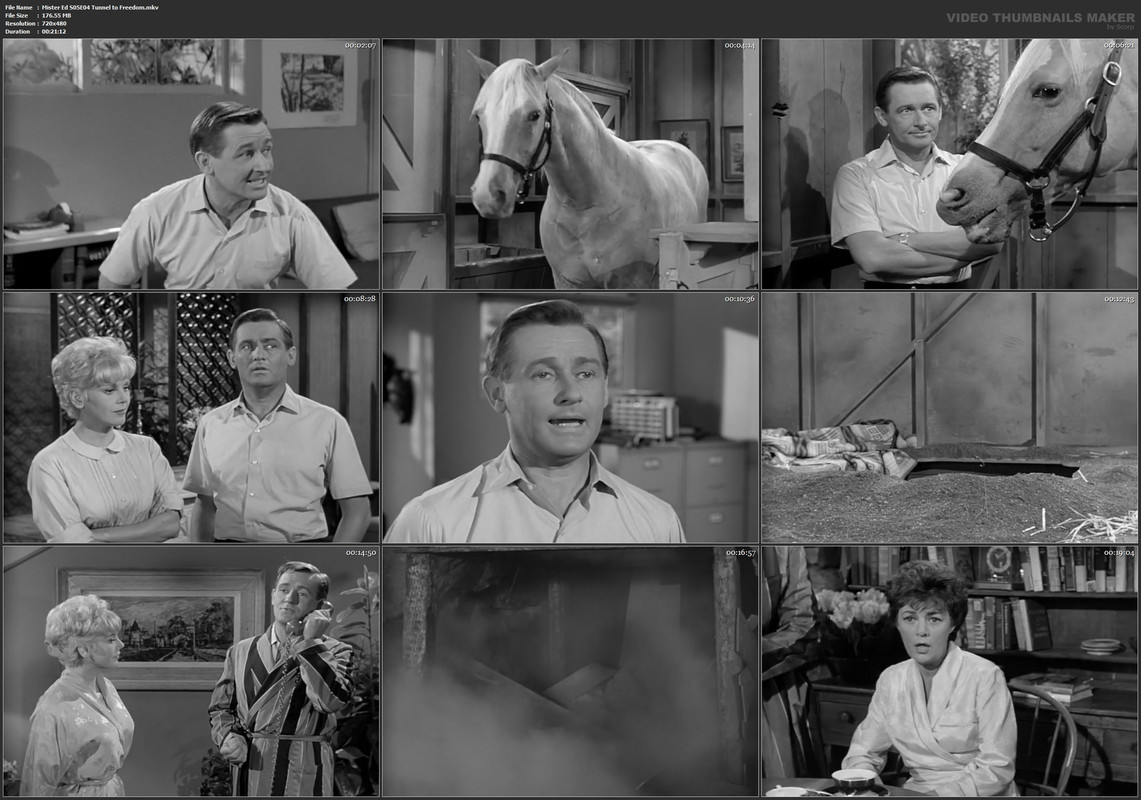 Mister Ed S05E04 Tunnel to Freedom.mkv